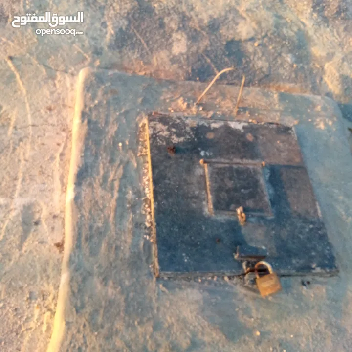 قطعه او مميزه مشجره زيتون