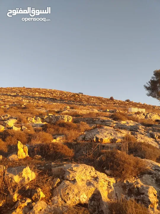 أرض للبيع من المالك مباشرة الخليل دورا