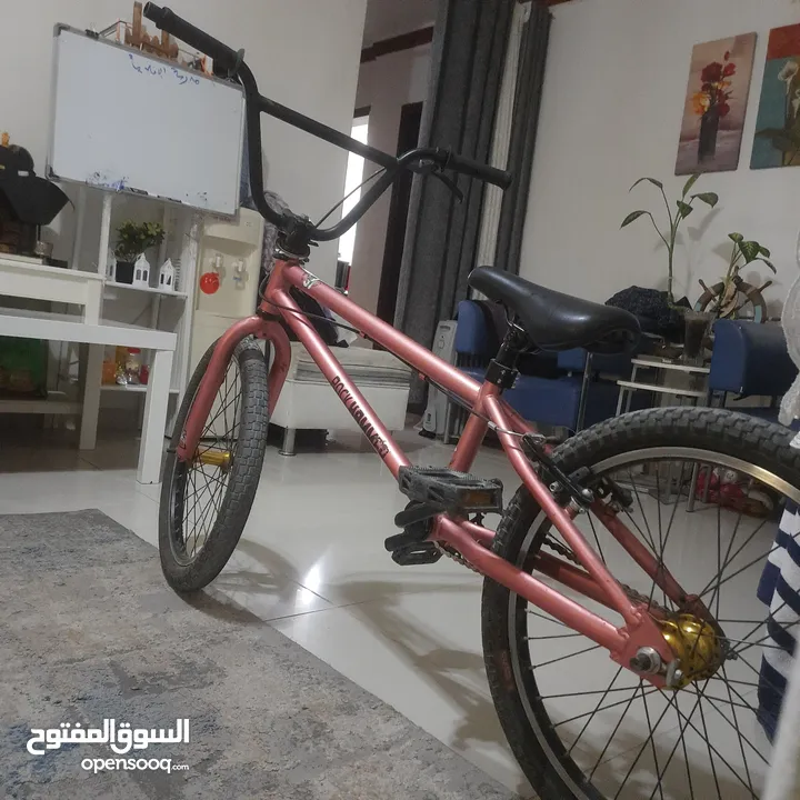 قاري bmx جديد