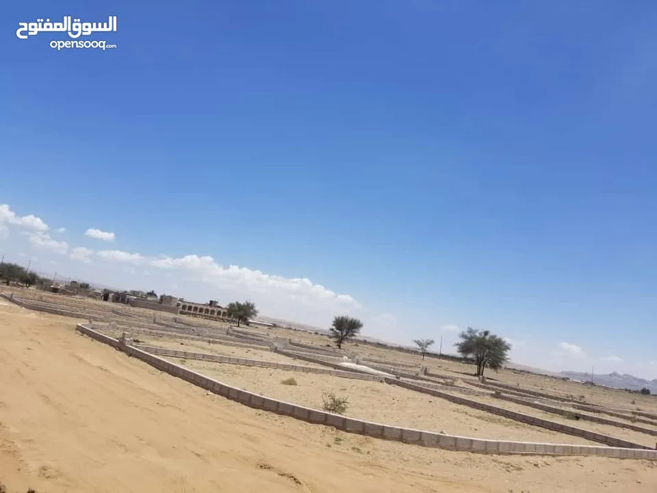 قطع اراضي باالتقسيط في صنعاء