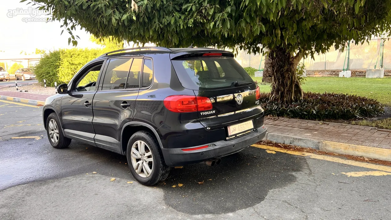 Volkswagen Tiguan 2013