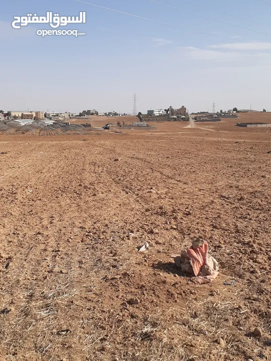 الجيزة ارض 6 دونم قرب المطار