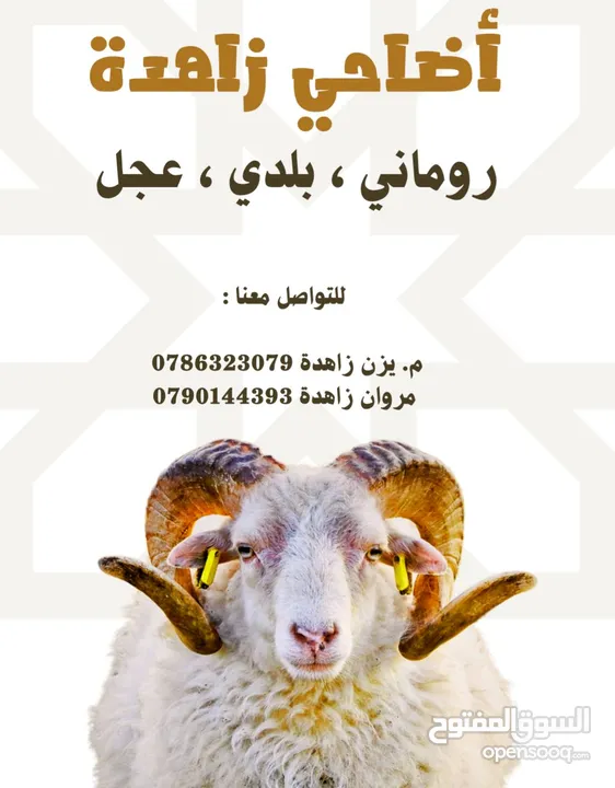 ملحمة مروان زاهده