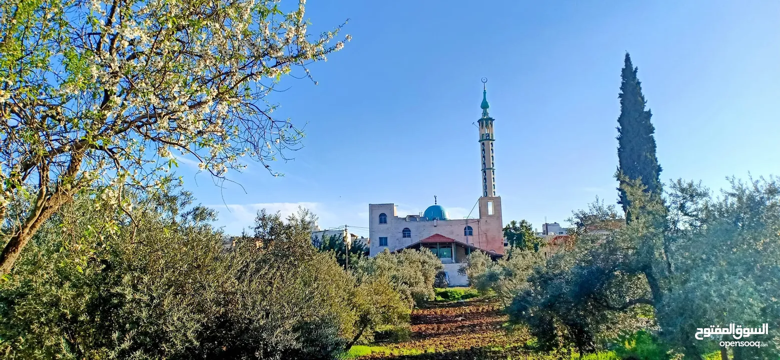قطعة أرض للبيع