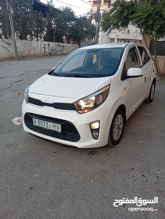 بيكانتو 2022 سعر حرق على الكاش إمكانية البيع نص كاش ونص شكات مع فرق في السعر