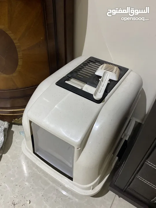 قطة هيمالايا