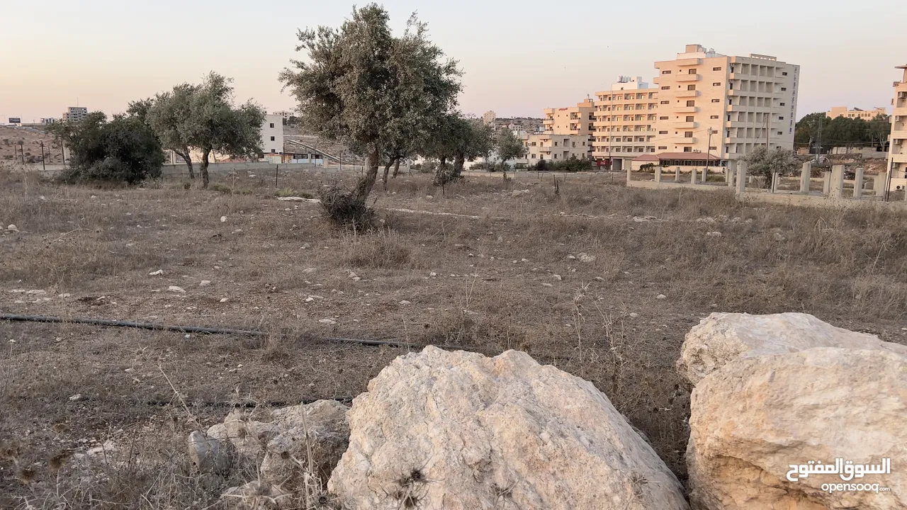 ارض للبيع في الجامعه العربيه الامريكيه في جنين