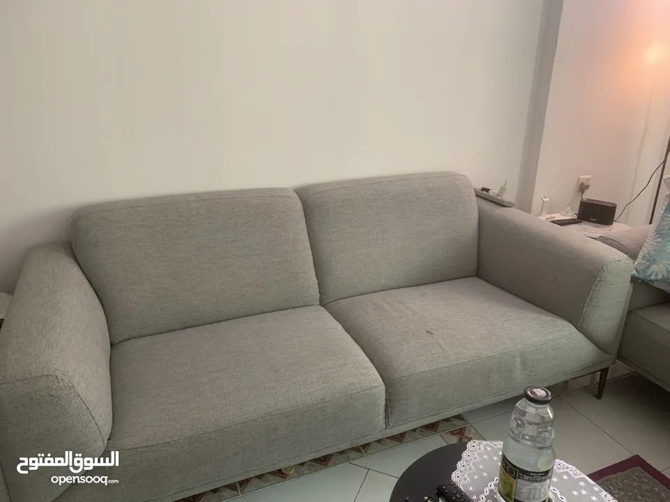 صوفات من صفاة الغانم