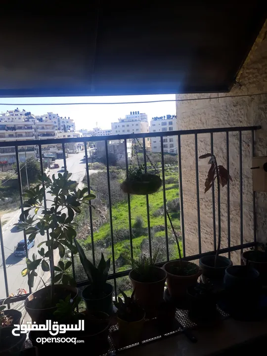 شقه للبيع او البدل على بيت مستقل