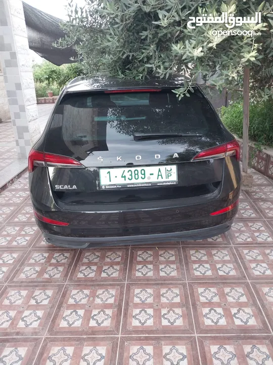 سيارة سكودا سكالا 2019