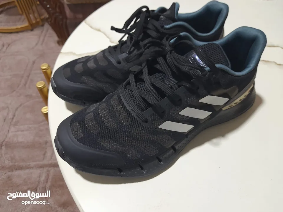 شروة احذيه  البيع كامل الكميه 30 حبه