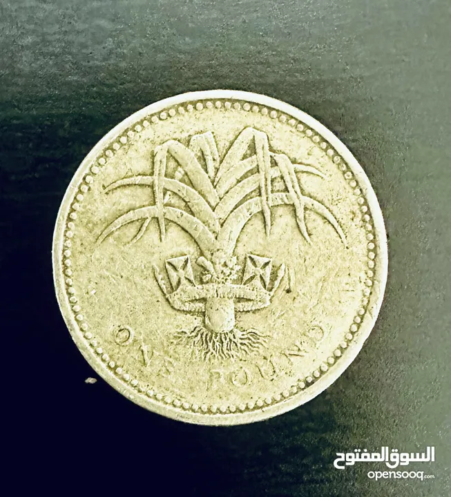 Uk 1 pound 1985 coin