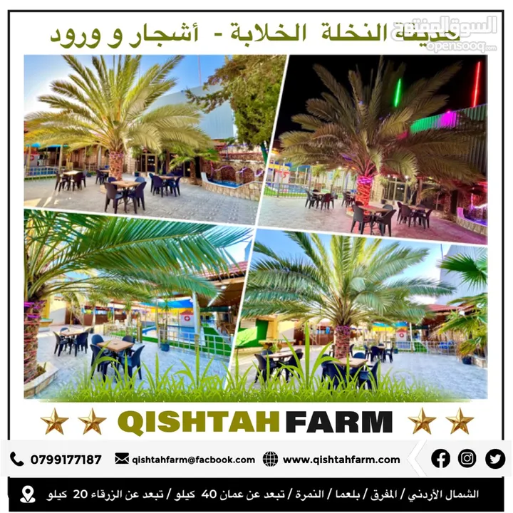 مزرعة قشطة للايجار في بلعما - مزرعة 5 STAR - مزرعة VIP - مزرعة للايجار - مزارع للايجار