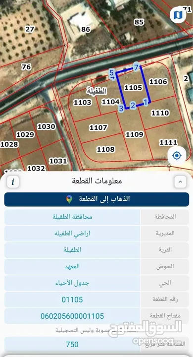 ارض للبيع  العيص بجانب ديوان القطيفات على الشارع الرئيسي (الطفيلة)