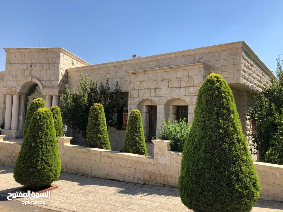 فيلا مفروشه للايجار في عبدون ( Property 40254 )-175089630