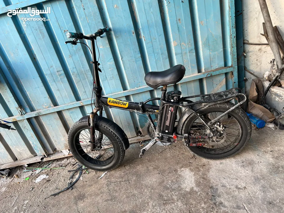 1200 عجل عريض