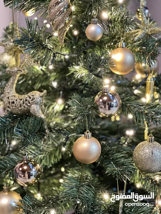 شجرة كريسماس