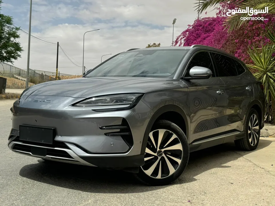 Byd song champion  اعلى صنف
