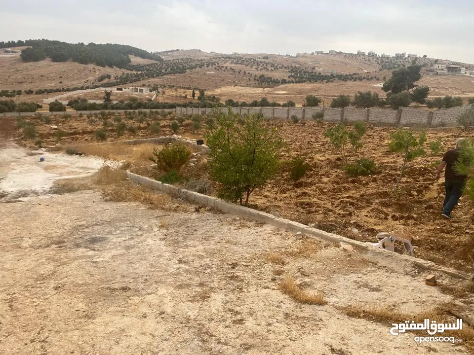 قفقفا 13 دنم منطقة مزارع وشاليهات وطبيعة خلابة مسيجة جدار حجر