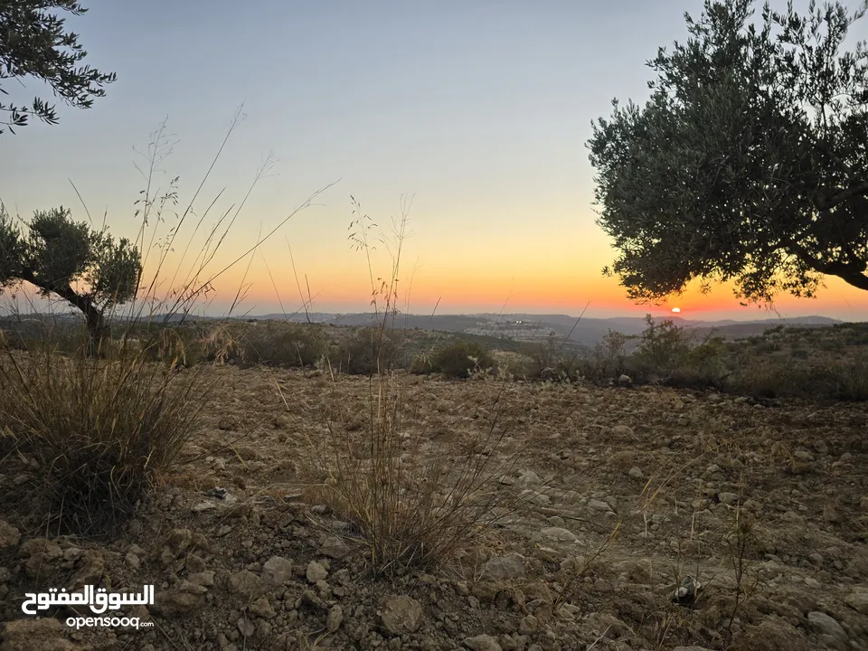 ارض بمساحه 3 دنم بكوبر اطلاله غربيه للأبد اوول كوبر  بالقرب من المسجد الكبير كوشان
