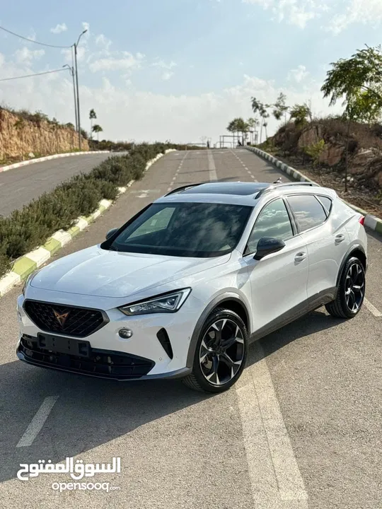 كوبرا فورمينتور 2025