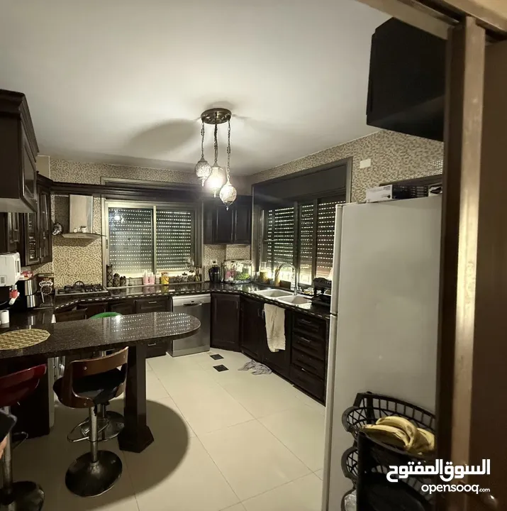 الوسيط ضياء