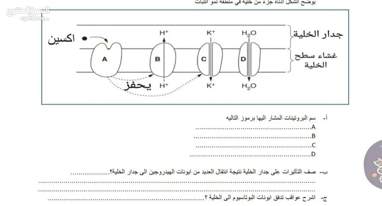 اله حاسبه كانون