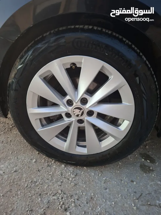 عدي ابو شموخ