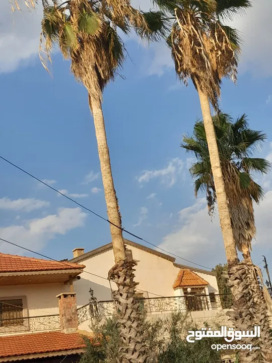 مزرعة للبيع