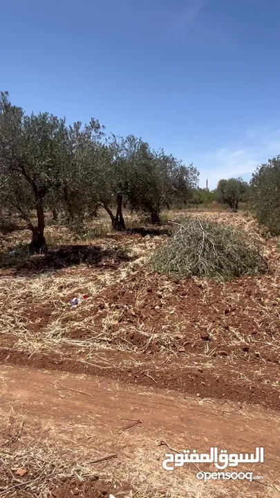 ارض للبيع في حسبان مفروزة بقوشان مستقل على شارع مأدبا الغربي قريبة من الشارع الرئيسي سكن أ من المالك