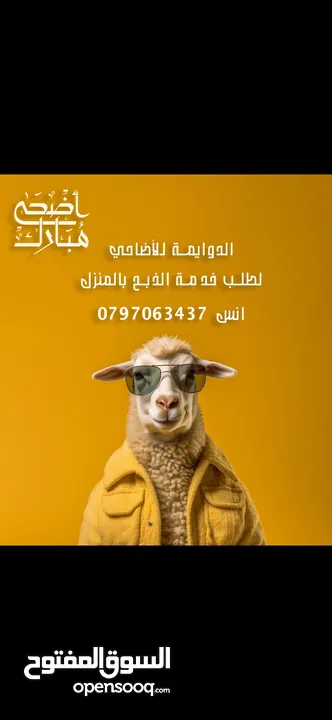 ذبح اضاحي بالمنزل