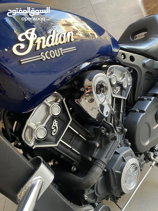 Indian scout  2021