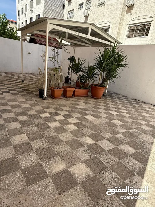 شقه مفروشه للايجار في الصويفيه ( Property 42620 )-175106913