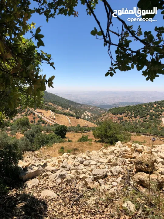 فرصة استثمارية! أرض زراعية مميزة بسعر مغري و بالقرب من أحراش الدولة للمزيد من المعلومات اقرأ الوصف