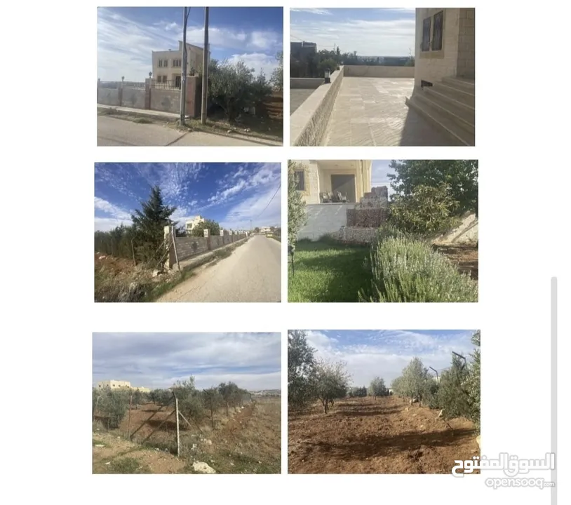 ارض وفيلا مناسبه للاستثمار فيها