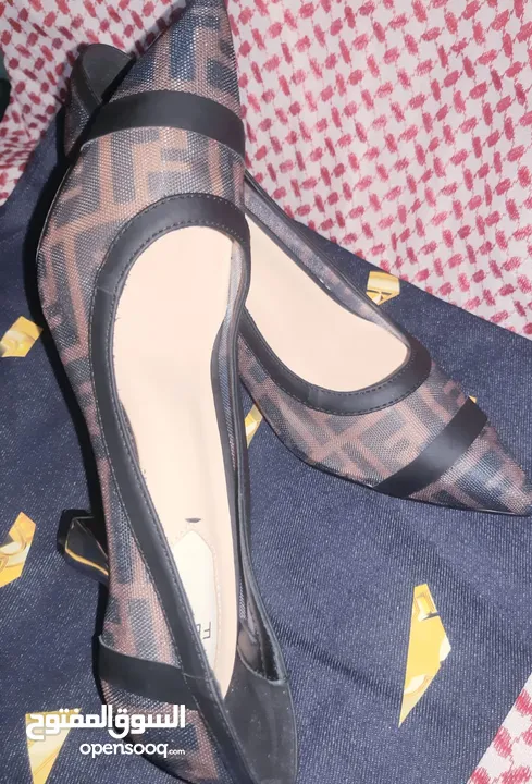 Fendi heels shoes Colibri pumps for Women New but Unbox already.