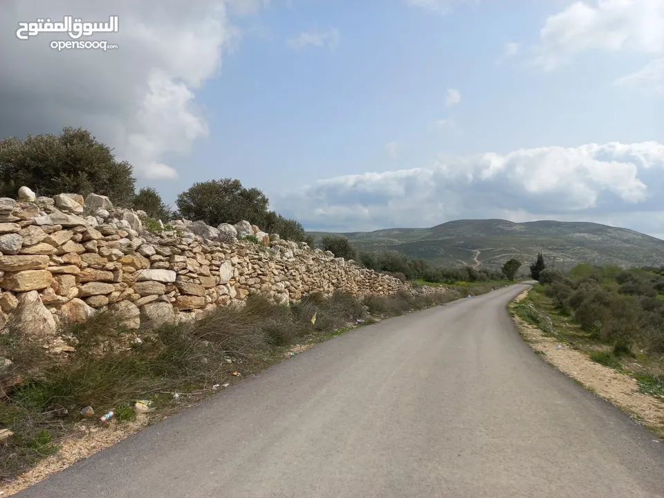 ارض مميزة 5 دونمات باجمل مواقع بيت امرين على قمة جبل كوشان طابو