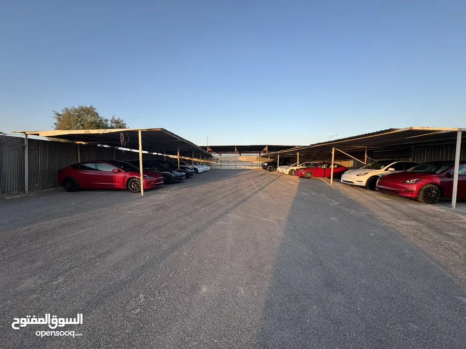 ‎‏‎‏Tesla Model 3 Standard Range Plus 2023
