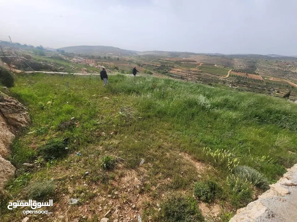 للبيع قطعة ارض بسعر مغري الارض 408 متر تصنيف الارض B  معمرة و مصلحة محاطه بسنسلةو شيك مع بواب وقفل