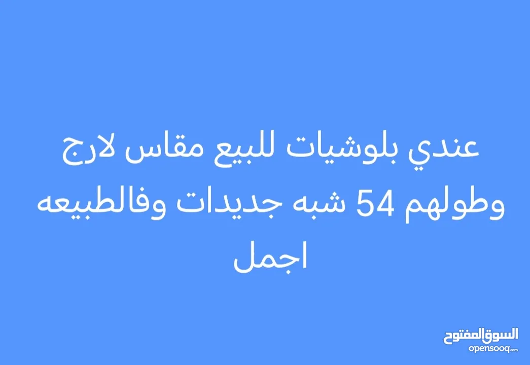 بلوشيات شبه جديدات