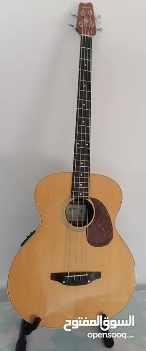 Montana acoustic electric bass guitar