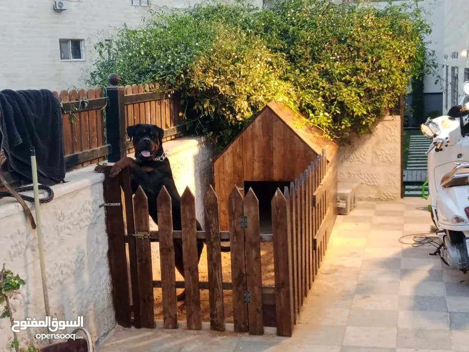 أكواخ خشبية وبيوت للحيوانات
