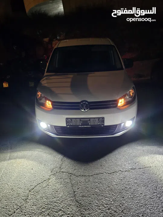 كادي شصي طويل