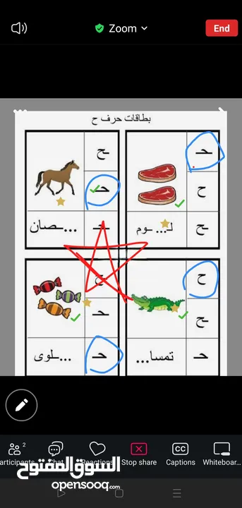 تدريس مادة اللغة العربية ( ابتدائي) خبره خمس سنوات في مجال التأسيس والصفوف الأولية