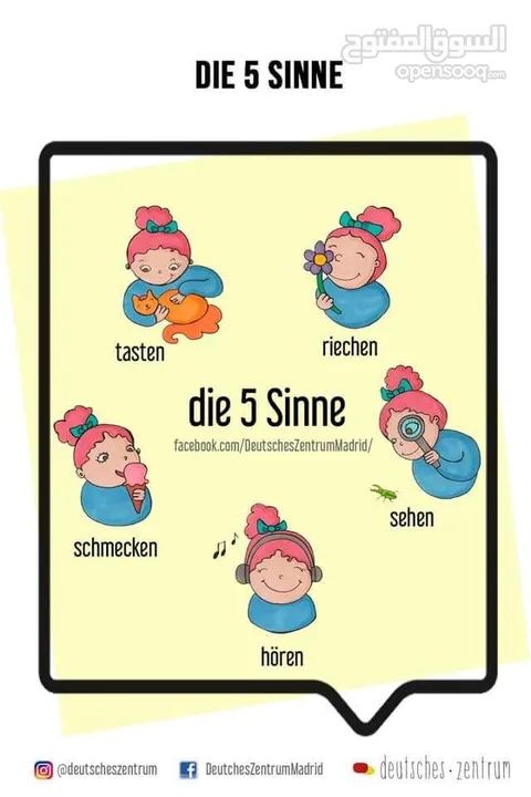 مدرس لغة ألمانية