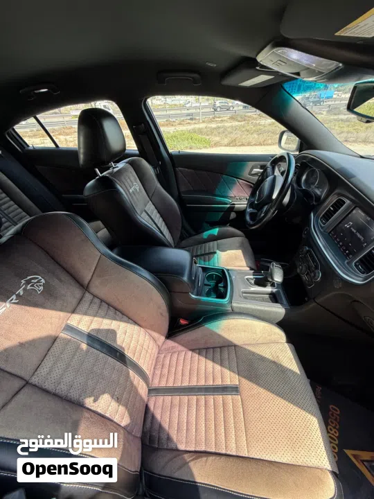 Dodge charger 2019 gt option (super track back).