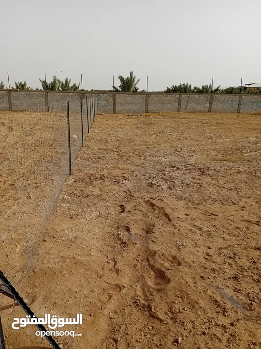 ارض تصنيف A القطعه رقم 3\7