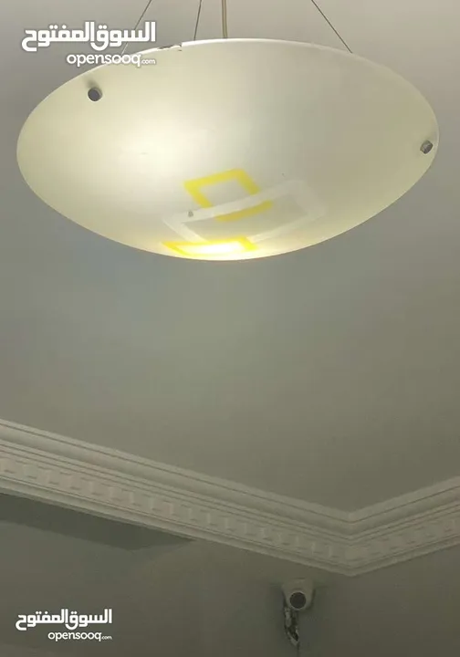 ثريا 2 بردايه زيبرا