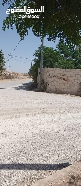 بيوت للبيع