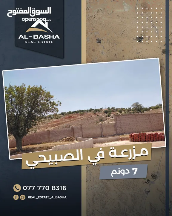 مزرعة في السلط الصبيحي مميزة مع سعر مميز مباشرة مع المالك